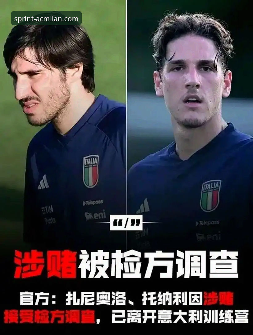 米兰体育平台官方APP深度使用与评测教程